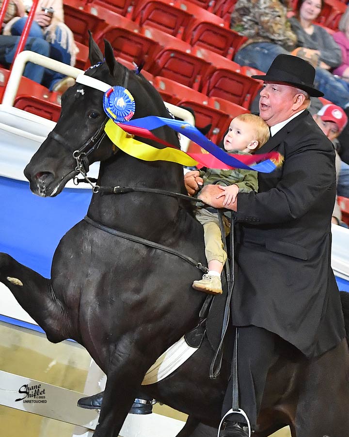 Kiser head shot North Carolina Walking Horse Association